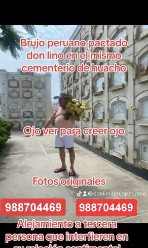 WhatsApp-Image-2024-08-16-at-12.46.54-PM-4-qsth82w0bpxkt4y2abd4uukajwbxjsbpb49wqg11mw
