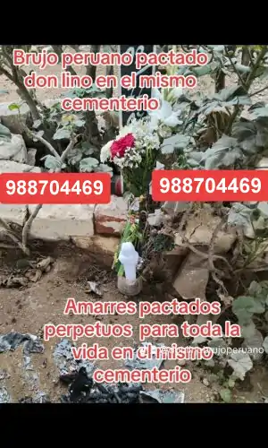 WhatsApp-Image-2024-08-16-at-12.46.54-PM-6-qsth84rope05gcvbzc6dzu37qo2nz6j5zdkvozy9ag